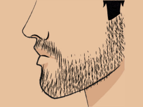 Sparse/Less Dense Beard Growth
