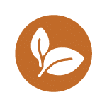 card-profile