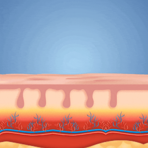 Visible increase in hair growth