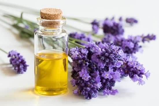 Lavender Oil to block DHT