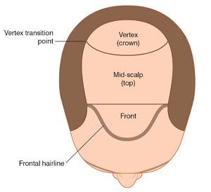 Regions of the scalp